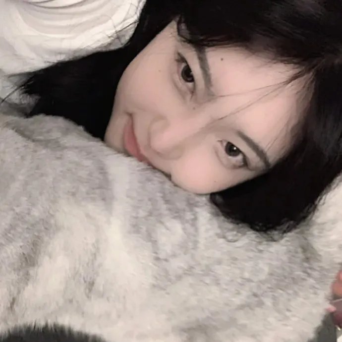 但愿人长久电影版