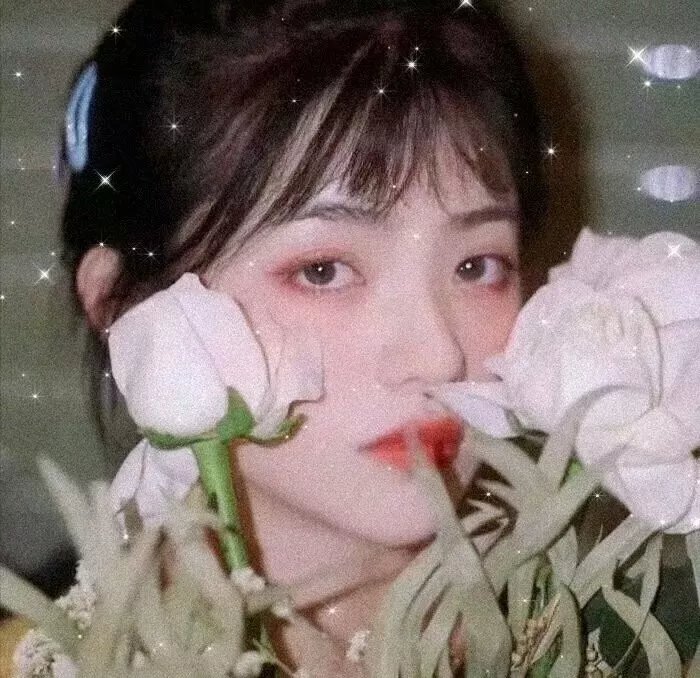 血寡妇